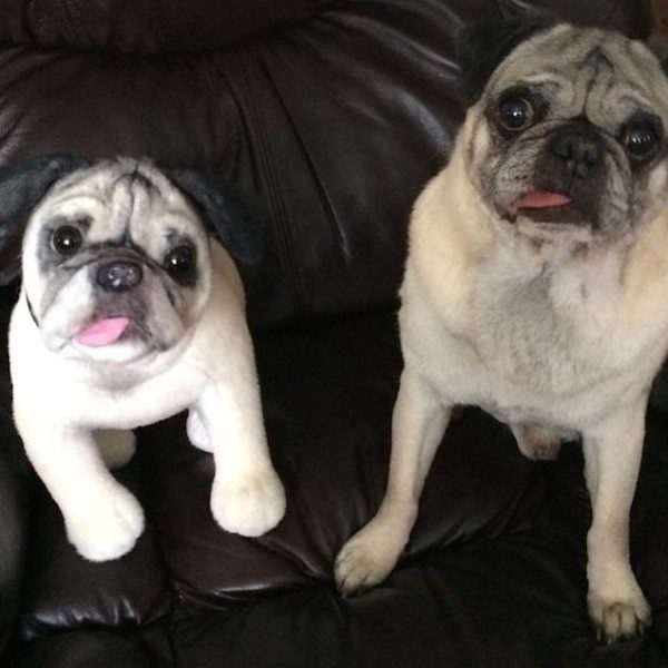 toys-cuddle-clones-17
