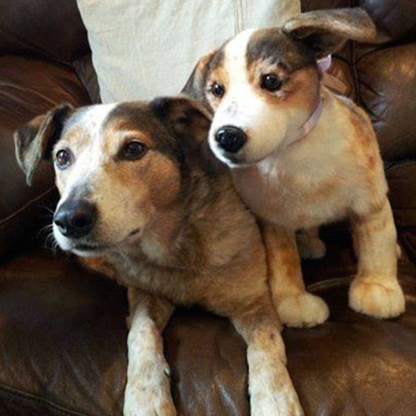toys-cuddle-clones-18