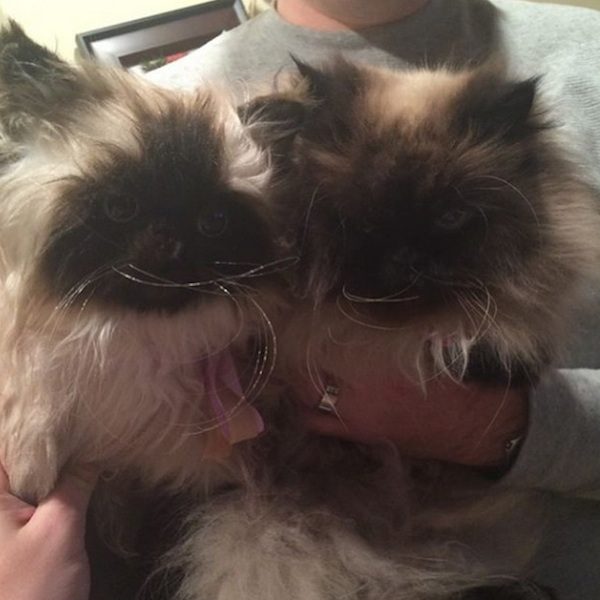 toys-cuddle-clones-21