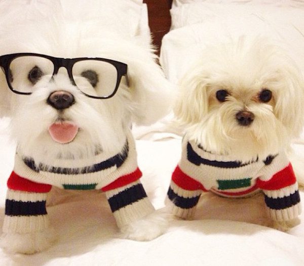 toys-cuddle-clones-9