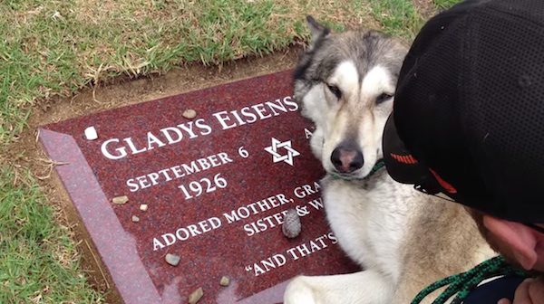wolfdog grieving