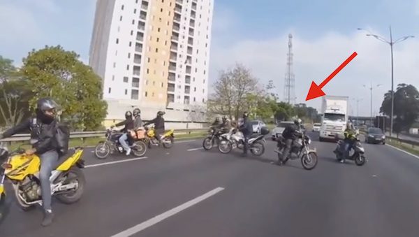 bikers rescue dog