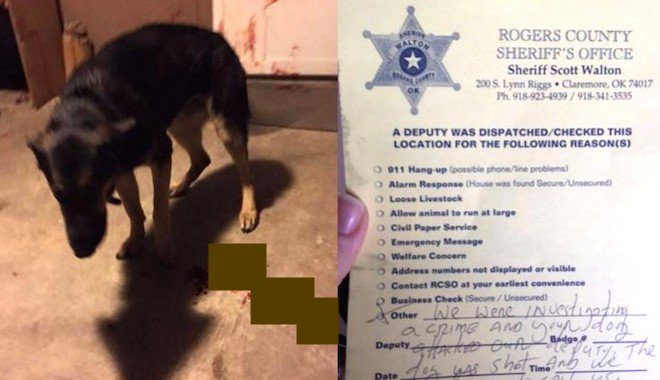 Family Finds Their Dog Bleeding Out, Then A Note From The Cops Explaining Why They Shot Their Dog