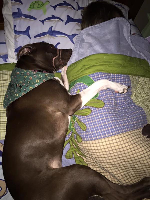 caitlyn-pupdate