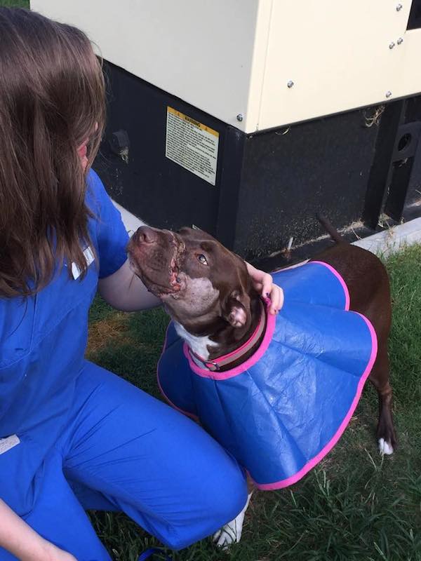 caitlyn-update-3