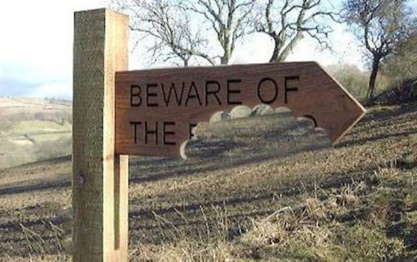 dog-signs-10