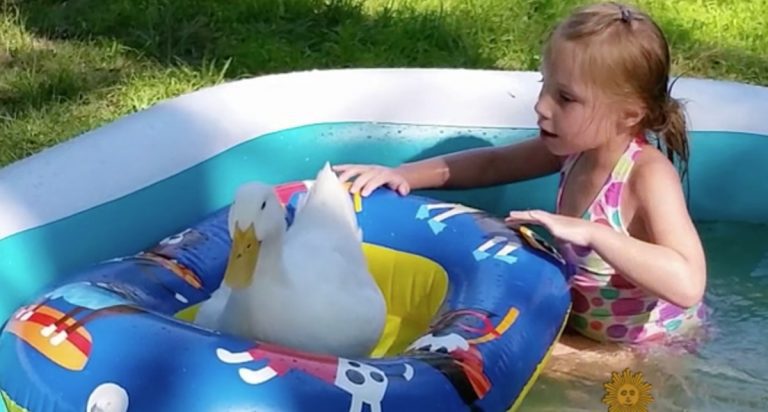 girl and her duck