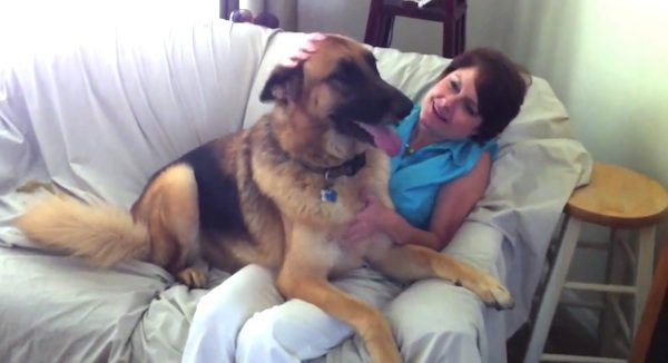 dog happy to see mom after 1 day apart