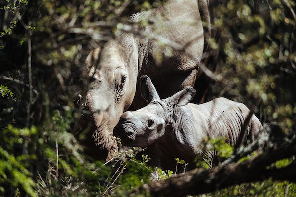 kariega-thandi-5