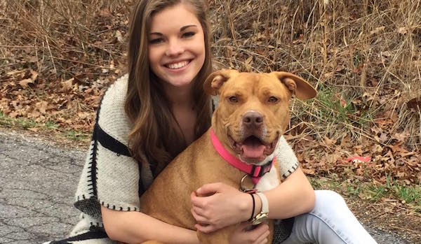 Community Helps Reunite Lost Dog With Grieving Family After Deadly Crash