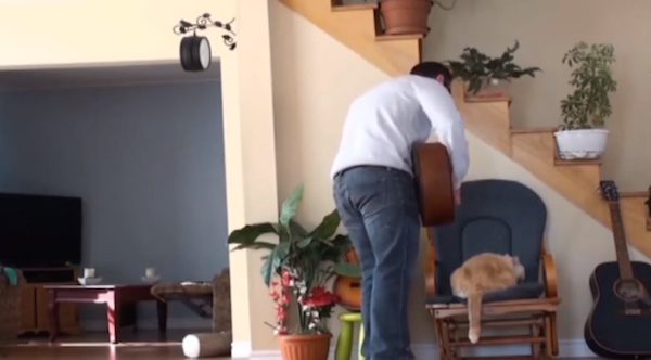 man mean to cat gets karma