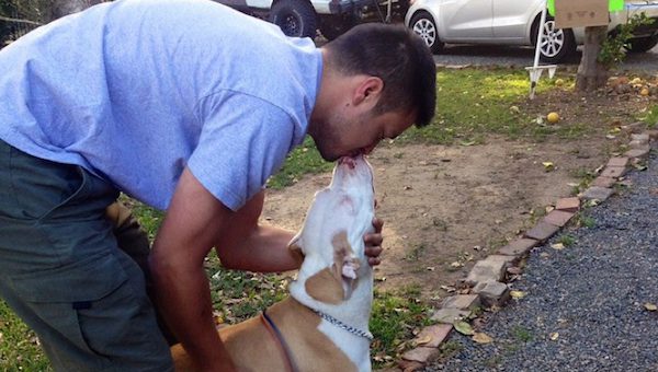 A Pit Bull named Maiden reunited with owner