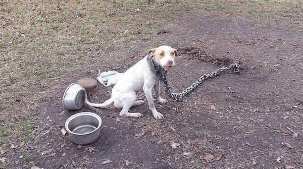 Misty on chain