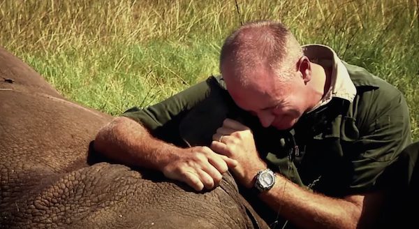 Man Is ‘Broken’ After His Rhino Was Poached, But Then A Miracle Birth Happens