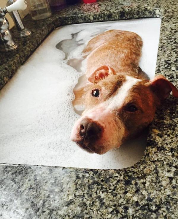 rudy-bath-2