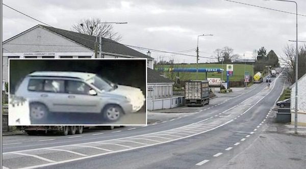 boy stops man from abducting his sister