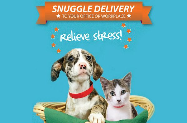 snuggle-delivery-humane-society-broward-county-5
