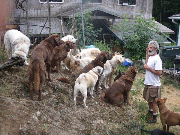 thayne-with-dogs