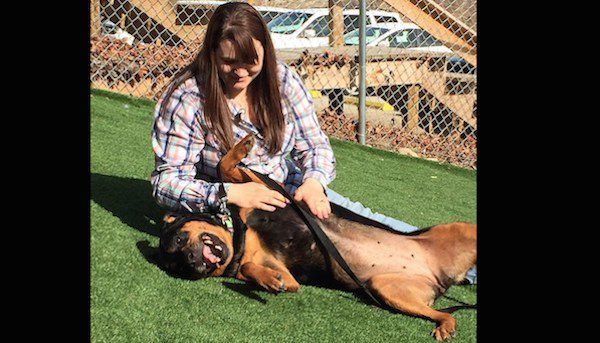 stolen dog reunited with family after 5 years