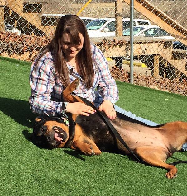 Tyra the Rottweiler reunited with her family