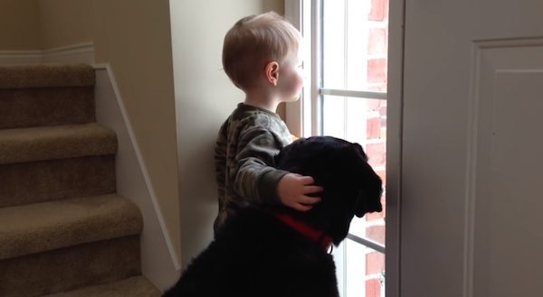 boy comforts dog