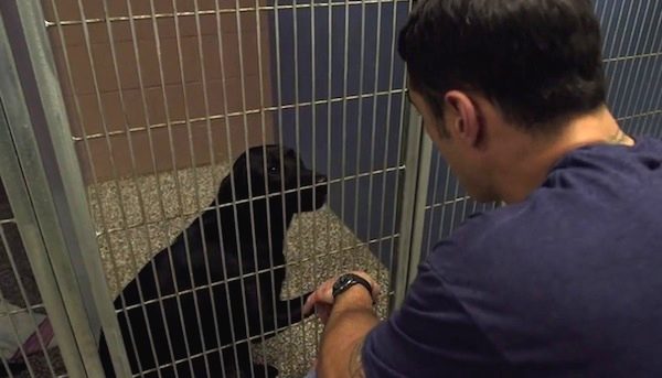 convict adopts dog