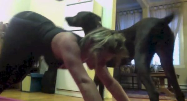 dog interrupts yoga