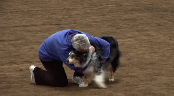 dog retires from agility