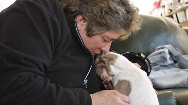 Lilly puppy mill rescue