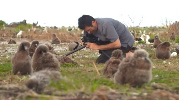 man photographs birds affected by plastics