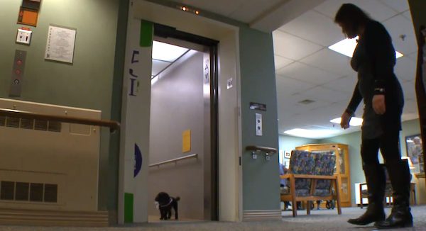 dog at nursing home