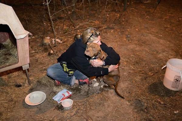 stolen dog rescued from cockfighting bust