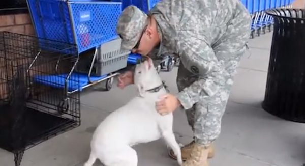 Dog reunited with soldier