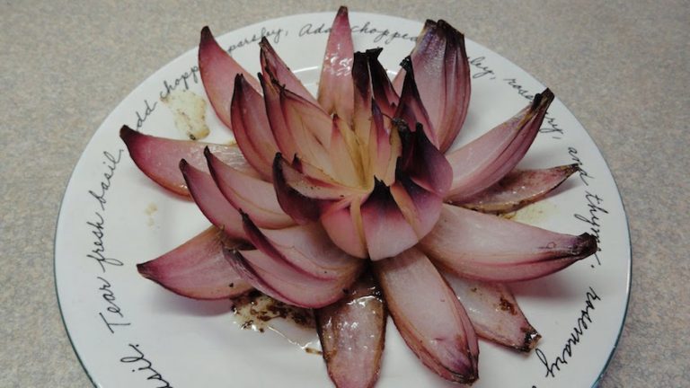 onion flower