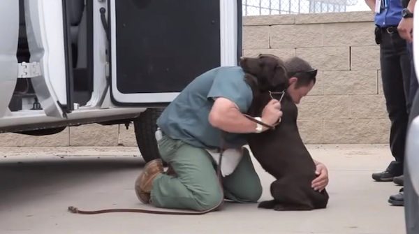 prisoner reforms dog