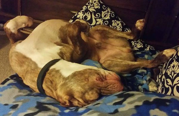 sleeping-slim