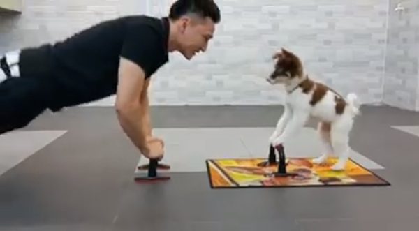 dog and man exercise together
