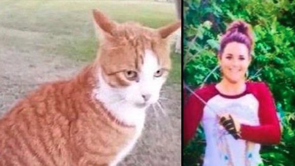 Veterinarian Who Posted Shocking Photo To Facebook After Killing Cat Has License Suspended