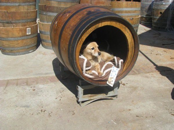 Wine-Barrel-Pet-House
