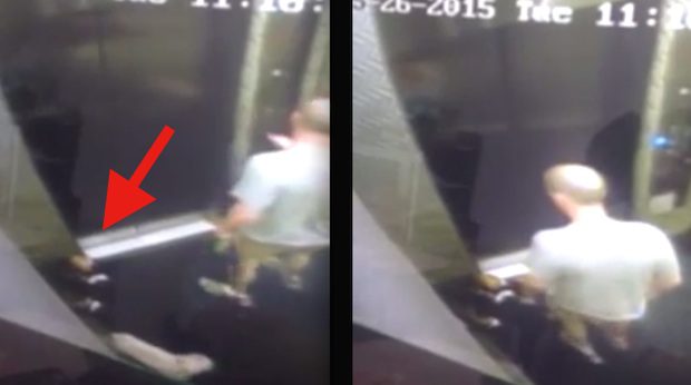 beagle puppy abused in elevator