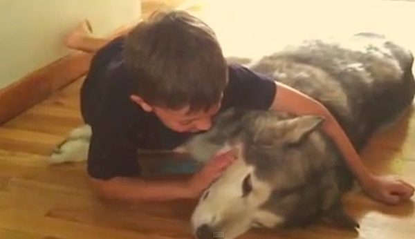 boy comforts dog