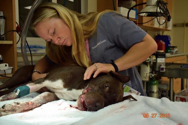 caitlyn-2
