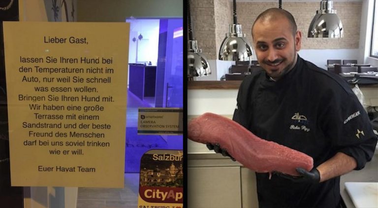 Chef Hears About A Dog Dying In A Hot Car And Decides To Act