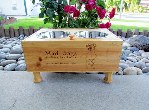 dog-bowl-feeder-mad-dog