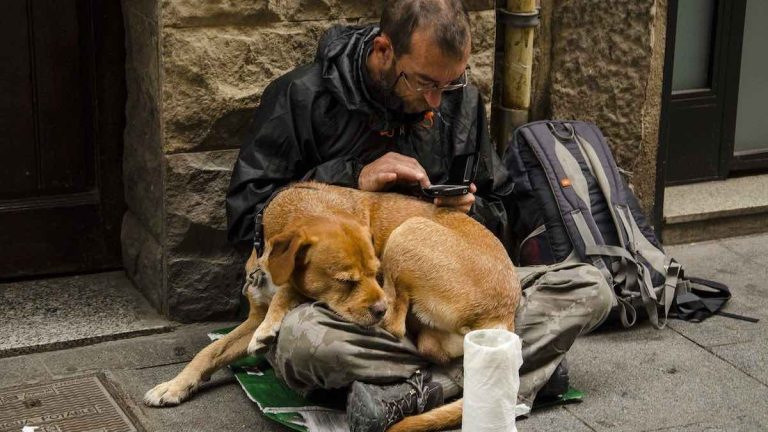 Man’s Act Of Kindness Puts Spark Of Life Back In Eyes Of Homeless Man And His Dog