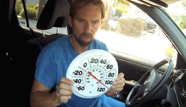 vet in hot car