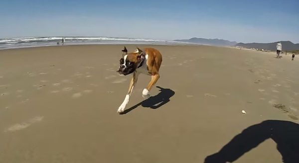 duncan lou who on beach