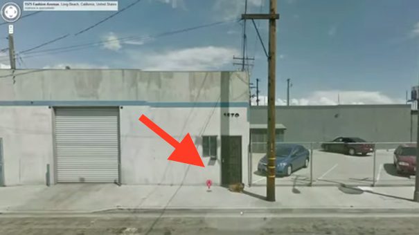 stray dog rescued because of google street maps