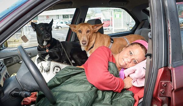 Teacher Who Went Homeless Rather Than Give Up Her Dogs Overwhelmed By Outpouring Of Support