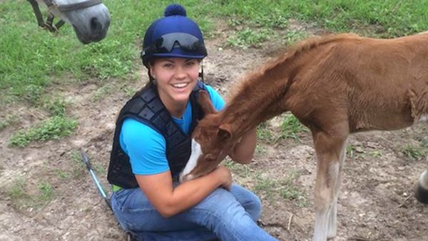 sunny with baby horse
